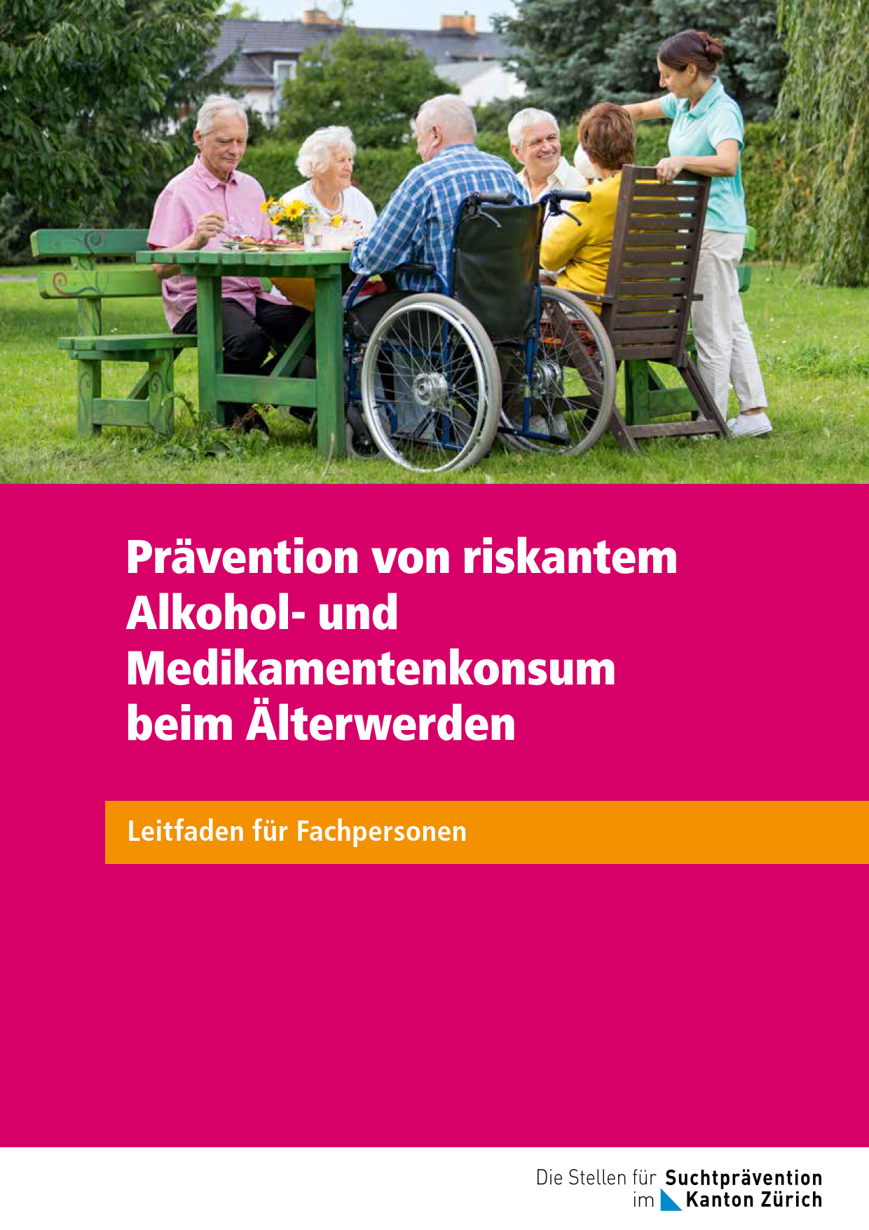 Leitfaden für Fachpersonen